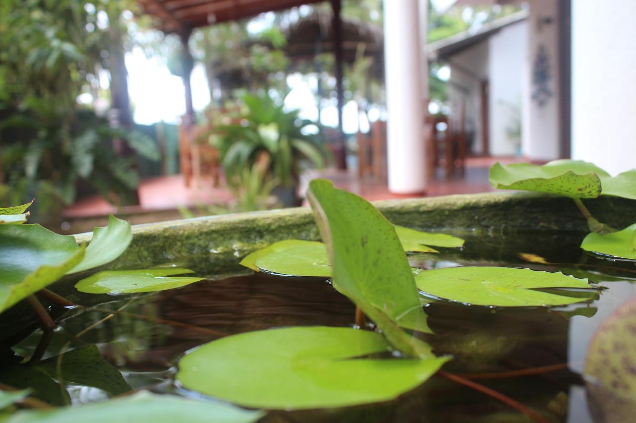Julie Guest House Tangalle Exterior foto