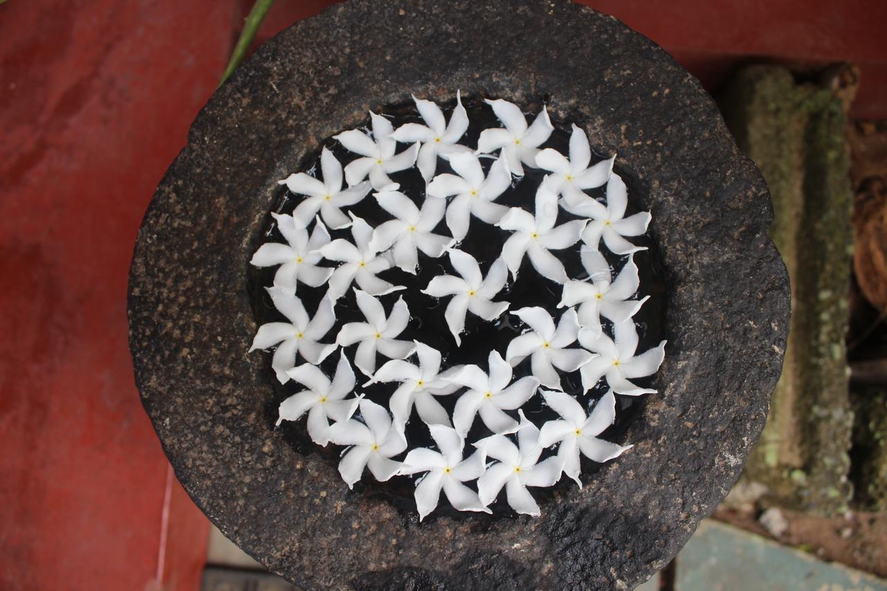 Julie Guest House Tangalle Exterior foto