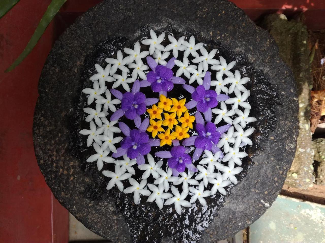 Julie Guest House Tangalle Exterior foto